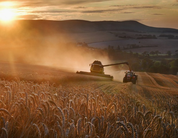 harvest-August-id1170096995 (1).jpg