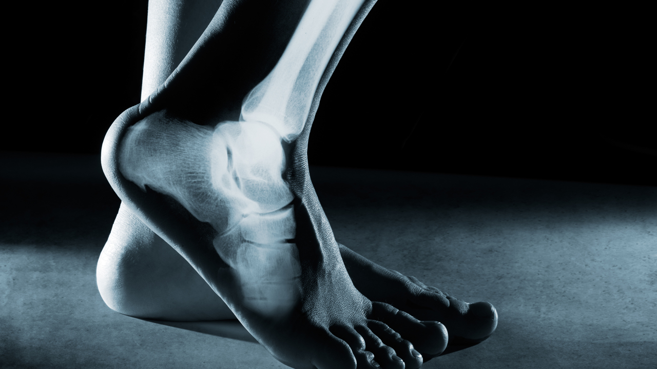 feet scan.jpg
