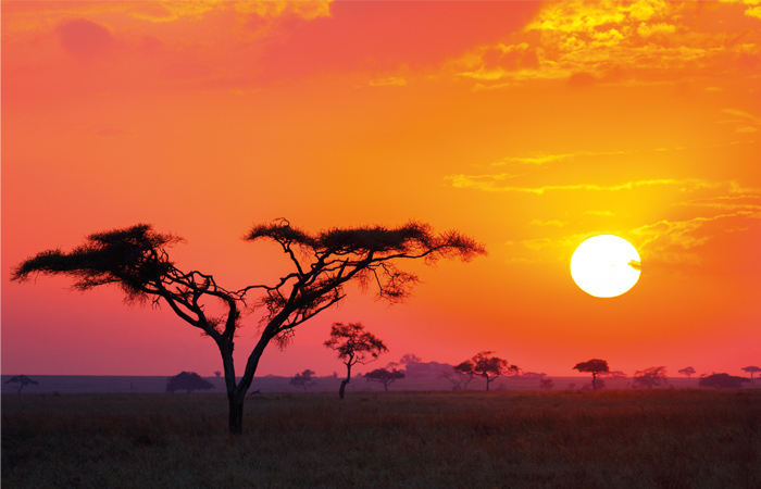 Africa_sunset_malaria.jpg