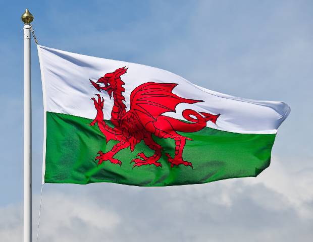 welsh flag summary.jpg