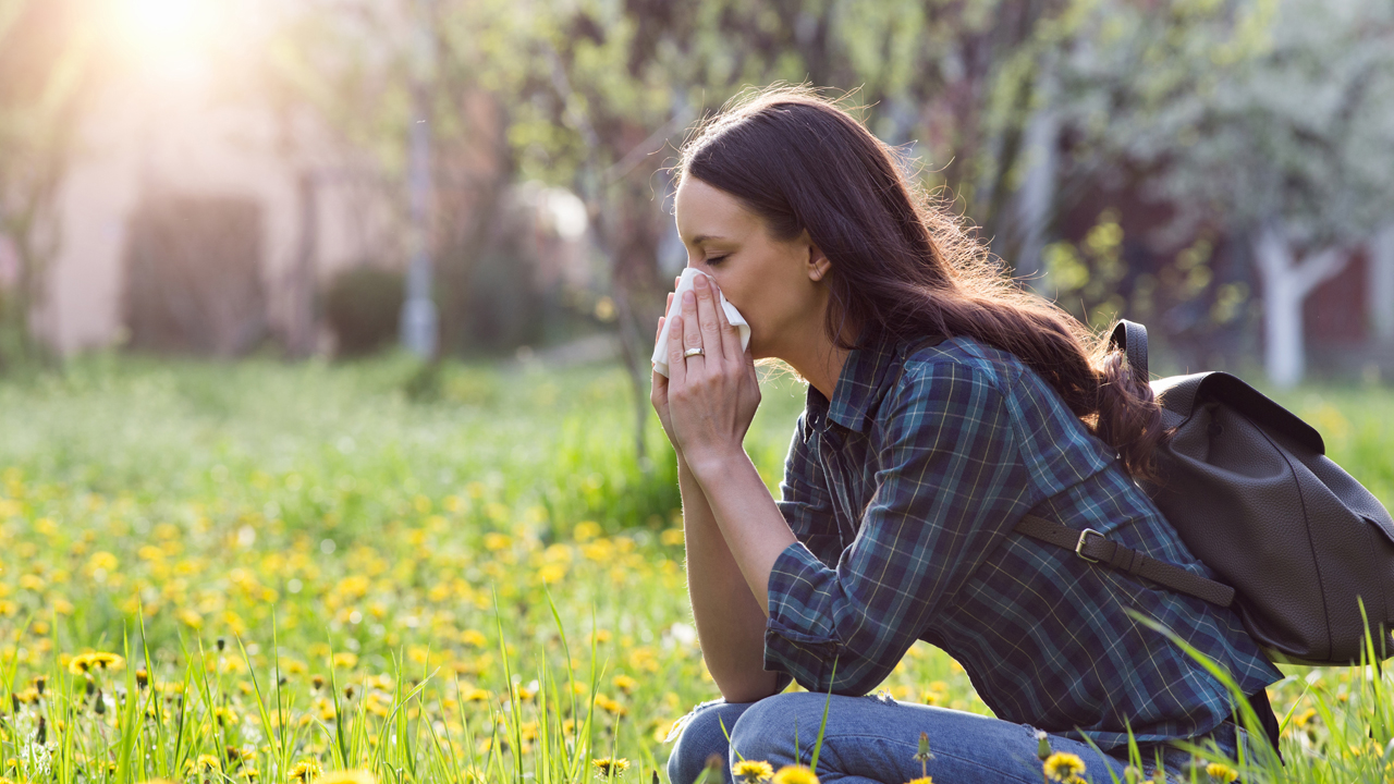hayfever.jpg