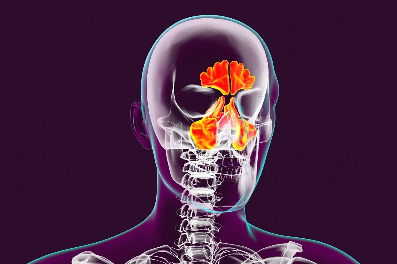 istock-2205702253-1