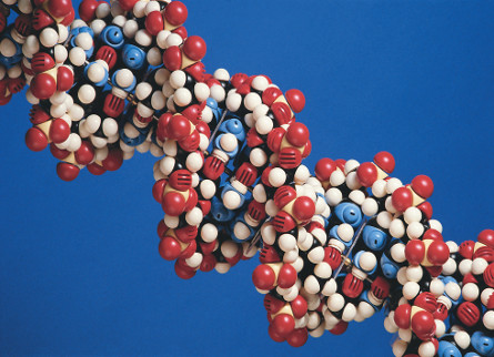 Genetic testing.jpg