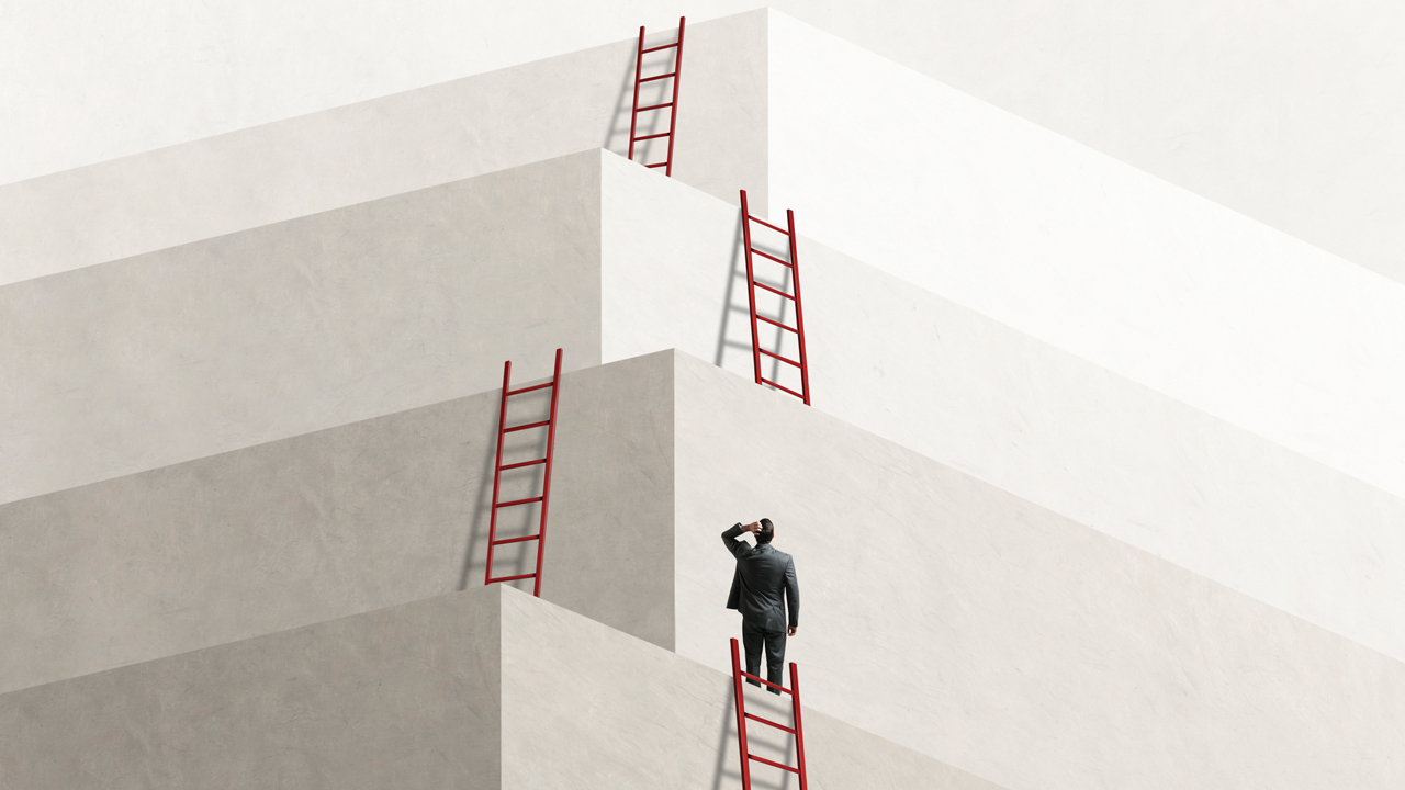 ladders.jpg