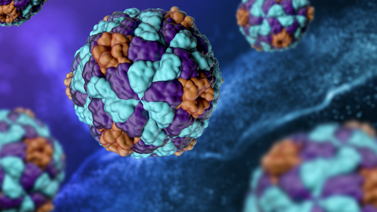 Hepatitis A 1280.png
