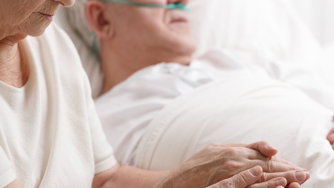 Palliative care 1280.jpg