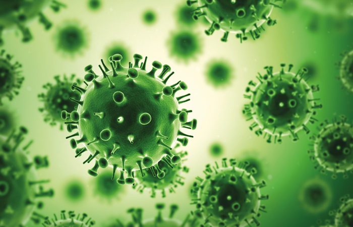 Flu virus.jpg