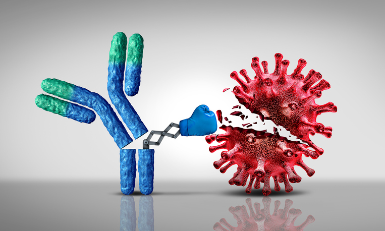 Antibody.jpg