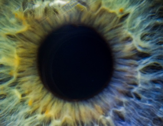 eye ecu.jpg