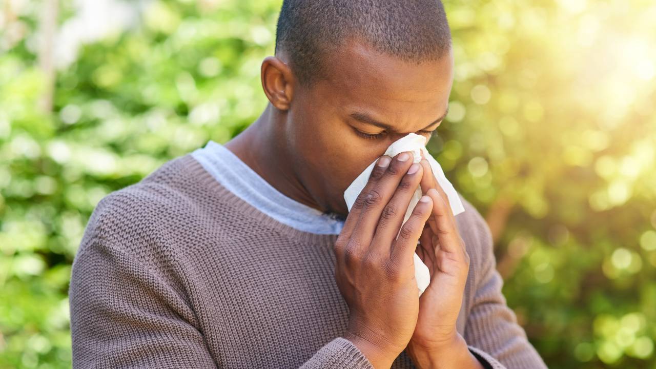 hay fever summary.jpg